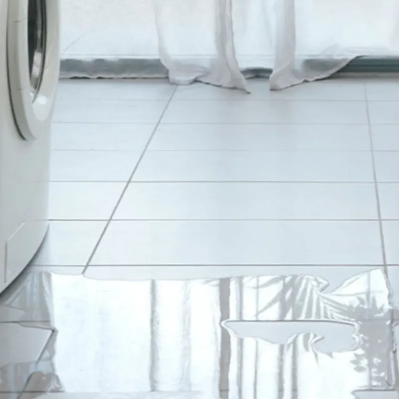 Appliance Leak Cleanup in Chase County, KS