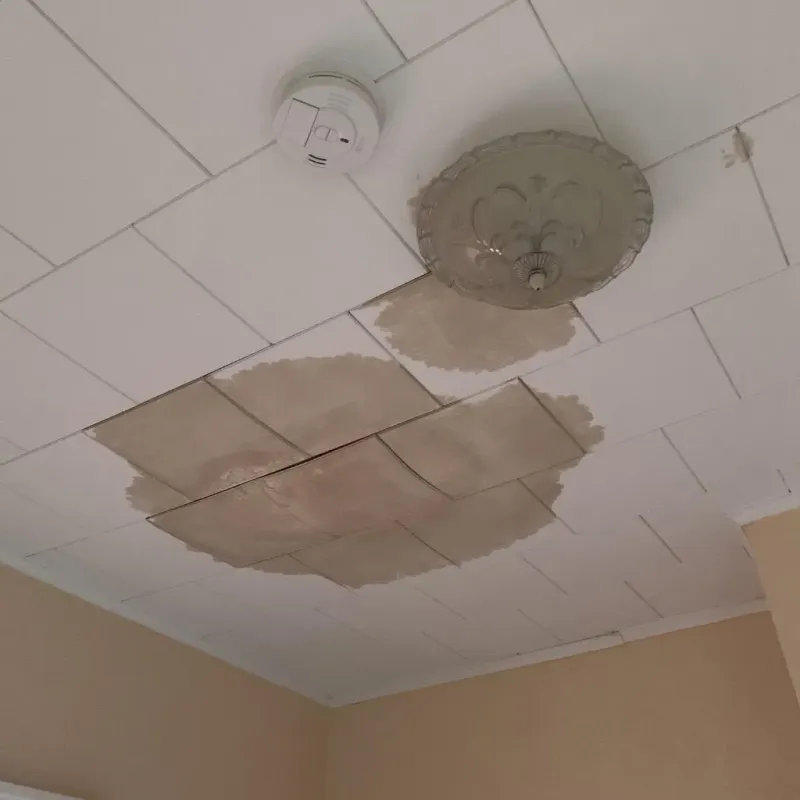 Ceiling Water Damage Repair in Chase County, KS