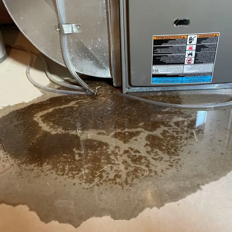 Pipe Burst and Leak Restoration in Chase County, KS