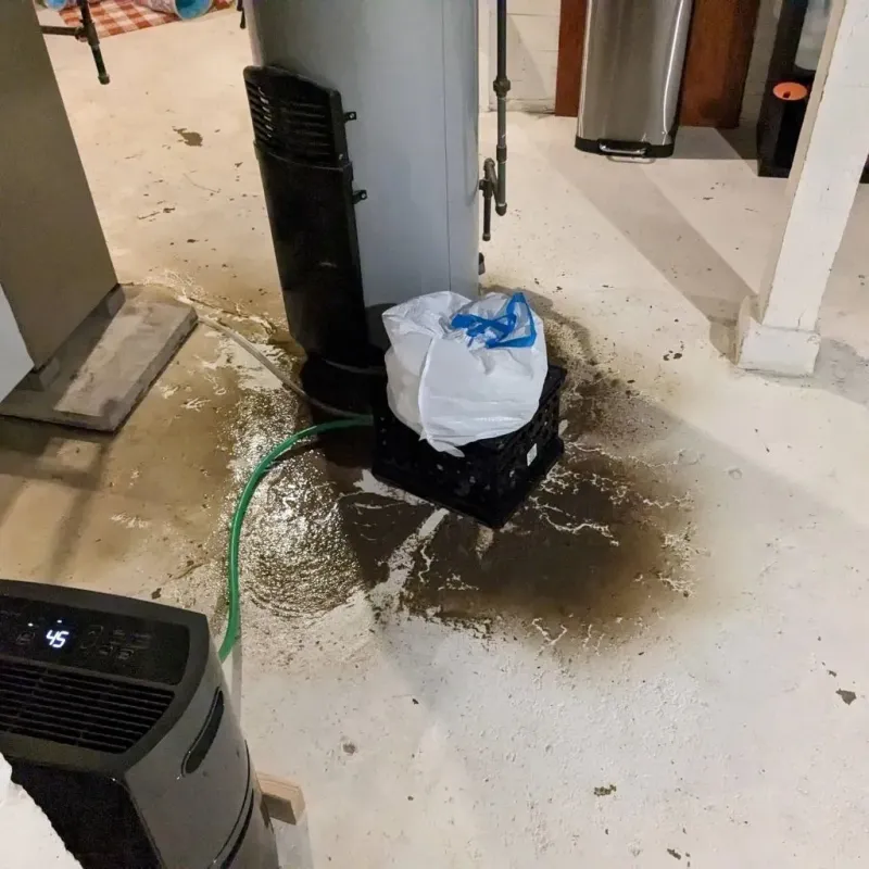 Sewage Backup Cleanup Service in Chase County, KS